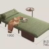 Modern Convertible Sofa Bed With Wooden Frame